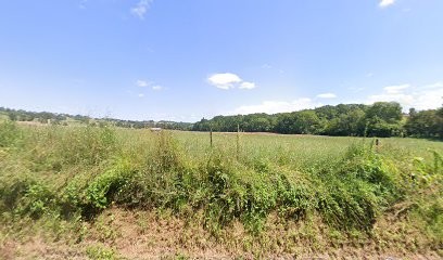 Pat-Dog 31 - Toilettage à domicile, Toiletteur pour Animaux à Labarthe-Inard