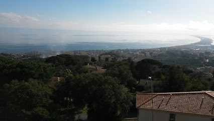 Toutous de la rose TOILETTAGE BASTIA sud, Toiletteur pour Animaux à Bastia