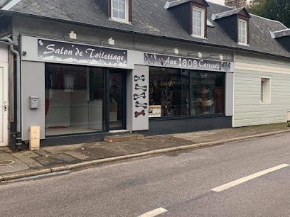 AUX 1000 CARESSES, Toiletteur pour Animaux à Offranville