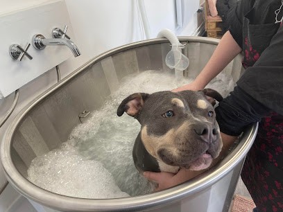 Salon Okami, Toiletteur pour Animaux à Rouvroy