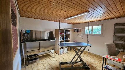 Royet Shanna Toilettage Canin, Toiletteur Pour Animaux à Beaufort
