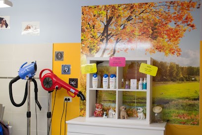 O Cath'Pattes, Toiletteur pour Animaux à Thourotte