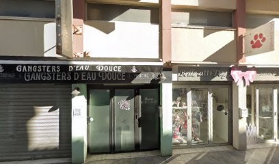 D'Angelo Lydia, Toiletteur pour Animaux au Grau-du-Roi