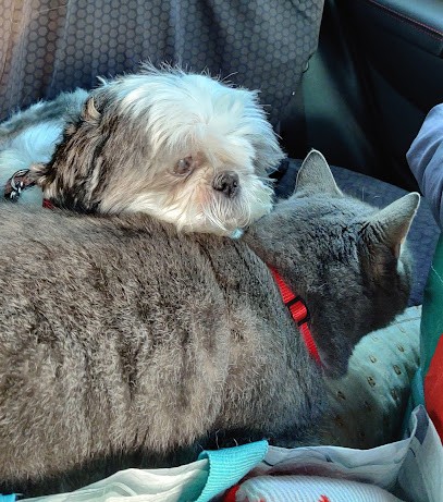 Cococanin, Toiletteur pour Animaux à Vals-les-Bains