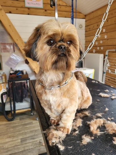 BO'Toutou, Toiletteur pour Animaux à Saint-Lyé