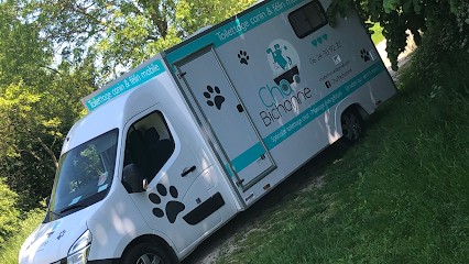 Cha'Bichonne, Toiletteur pour Animaux à Wavrans-sur-l'Aa
