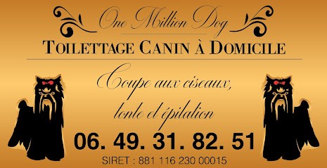 One Million Dog, Toiletteur pour Animaux à Verfeil