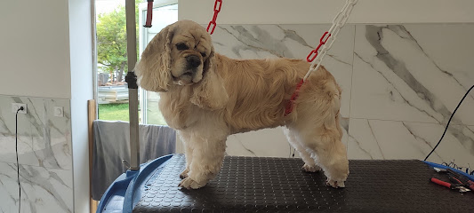 Dog O Chic Toiletteur Pour Animaux à Alès