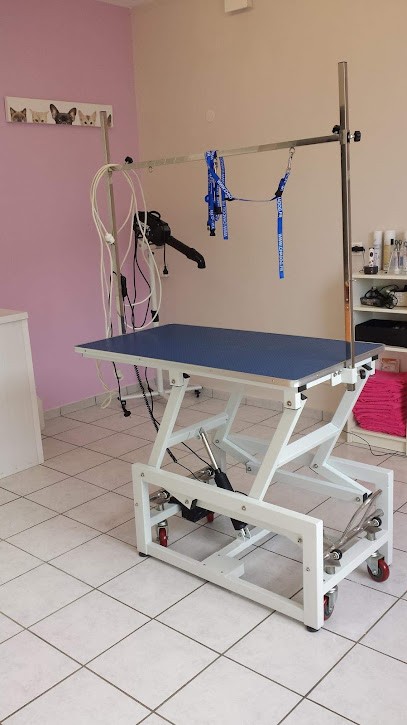 Beauté ô Poil, Toiletteur pour Animaux à Leforest