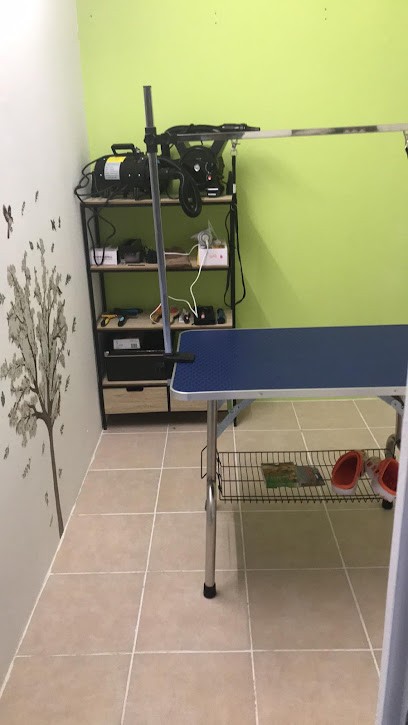 Chez Toutou Jess, Toiletteur pour Animaux à Remy