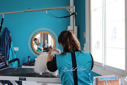 Embel'Lyre, Toiletteur pour Animaux à Reyniès