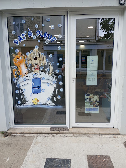 Pataplouf Toilettage Toiletteur Pour Animaux à Montbron