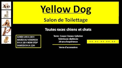 Yellow Dog, Toiletteur pour Animaux à Marseille 04