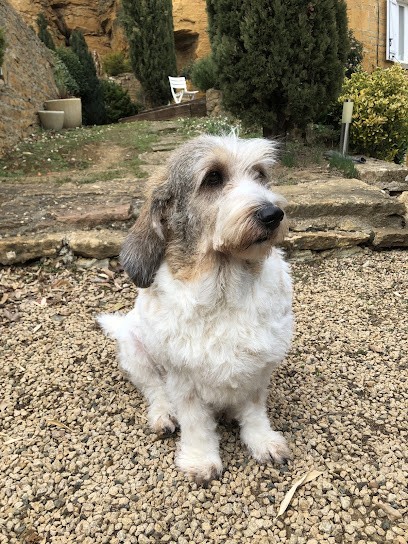 Dugelay Vanessa Janine, Toiletteur pour Animaux à Villefranche-sur-Saône