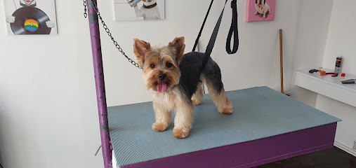 Estéti' Chien, Toiletteur pour Animaux au Havre