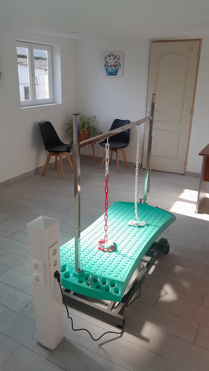 Ô Poils Perdus Toiletteur Pour Animaux à Cysoing
