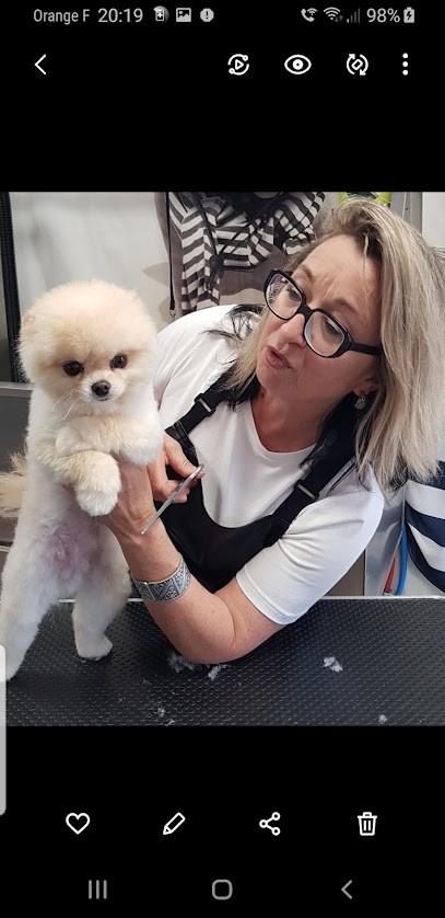 Toilettage Aux Chiens de Jade, Toiletteur pour Animaux à Benon