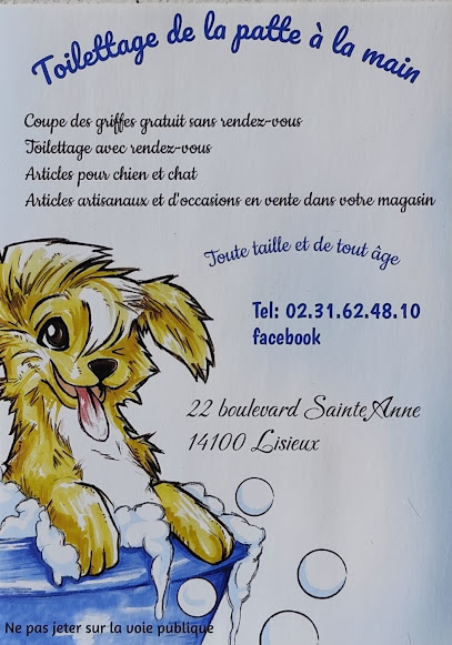 Toilettage De La Patte À La Main Toiletteur Pour Animaux à Lisieux
