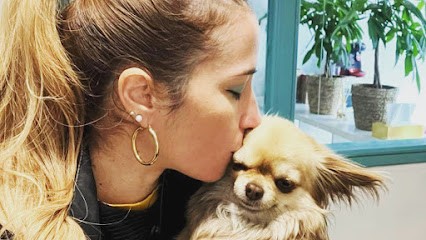 TOMDOG, Toiletteur pour Animaux à La Roque-d'Anthéron