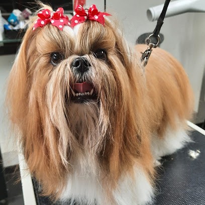 Croc Calin, Toiletteur pour Animaux à La Turballe