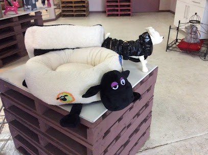 4 Pattes Land, Toiletteur pour Animaux à Orléans