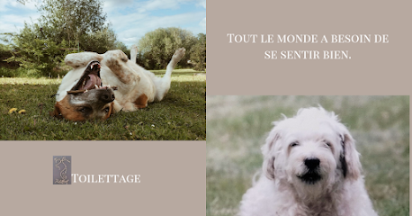 Tou'doux Toilettage Toiletteur Pour Animaux à Artix