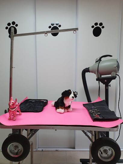 Faites Le Beau Toilettage, Toiletteur pour Animaux à Rozoy-le-Vieil