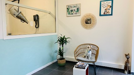 Happy Dog, Toiletteur pour Animaux à Saint-Raphaël