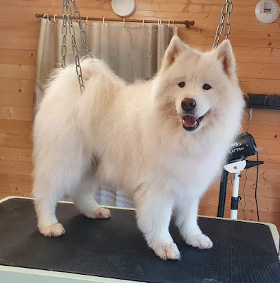 Sanako Beauté - Jardinerie Seurin Toiletteur Pour Animaux à Saint-Savin