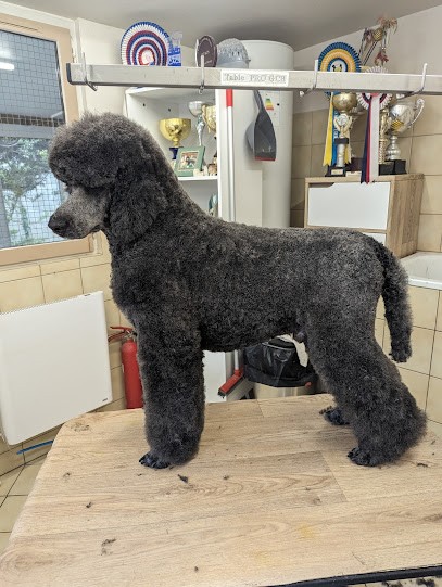 Toilettage Séduction, Toiletteur pour Animaux à Saran