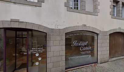 Instant Canin, Toiletteur pour Animaux à Lesneven