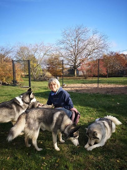 Au bonheur du chien, Toiletteur pour Animaux à Vigneulles-lès-Hattonchâtel