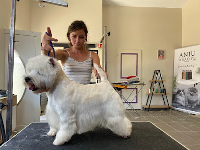 Chanel Toilettage Chien Chat, Toiletteur Pour Animaux à Jegun