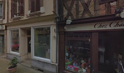 Feeling Toilettage, Toiletteur pour Animaux à Toucy