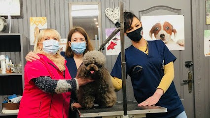 Artisan Toiletteur Chti's Dog Toilettage, Toiletteur pour Animaux à Jouarre