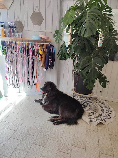 La Pause Canine Toiletteur Pour Animaux à Embrun