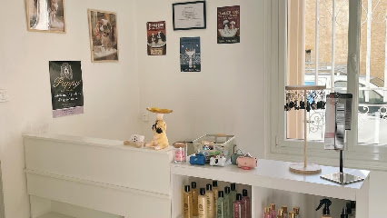 Snowbi Doux Salon De Toilettage, Toiletteur Pour Animaux à Aspiran
