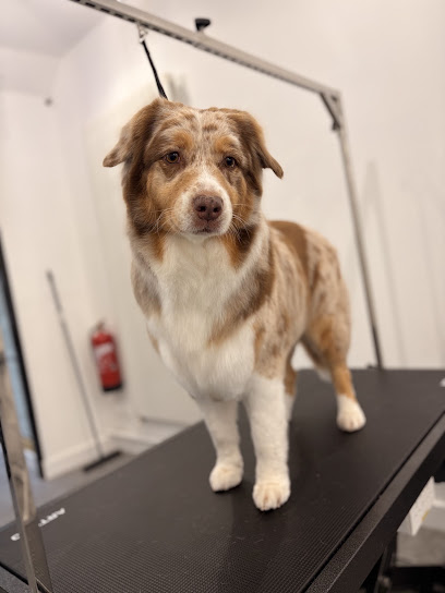 Sweet Grooming, Toiletteur Pour Animaux à Montreuil