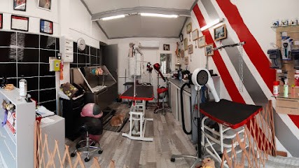 L'Atelier De Toilettage CDA Céline De Antoni, Toiletteur pour Animaux à Vestric-et-Candiac