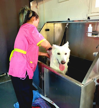 L'atelier Des 4 Pattes, Toiletteur pour Animaux à Saint-Jean-Saint-Germain