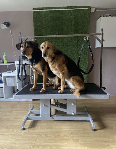 Groom'Dog, Toiletteur pour Animaux à Prouvy
