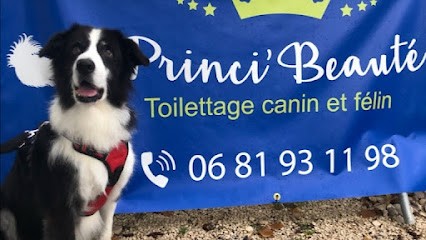 Princi' Beauté, Toilettage Canin Et Félin (près De Cahors), Toiletteur pour Animaux à Trespoux-Rassiels