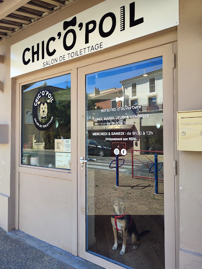 Chic'ô'poil, Toiletteur Pour Animaux à Jonquières
