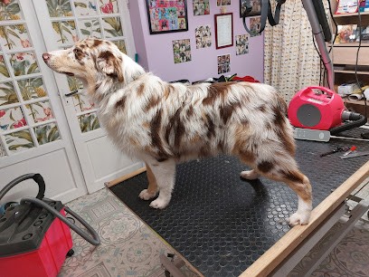 Plutôt Chic, Toiletteur pour Animaux à Vimoutiers