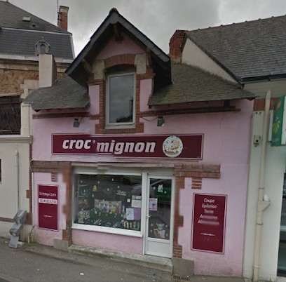 Croc'Mignon, Toiletteur pour Animaux à Saint-Étienne-de-Montluc