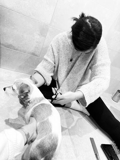 Mili Toilettage & Bien Être Animalier Toiletteur Pour Animaux à Villeneuve-sur-Yonne