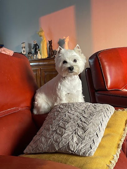 Perard Laurence, Toiletteur pour Animaux à Troyes