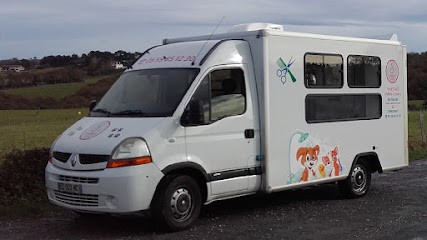 Canins Toilettage & Canins Mobile, Toiletteur pour Animaux à Saint-Jean-de-Luz