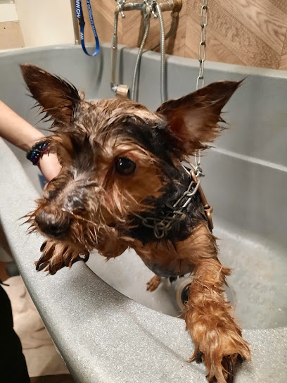 Zoologic Dog Wash Toiletteur Pour Animaux à la Flèche
