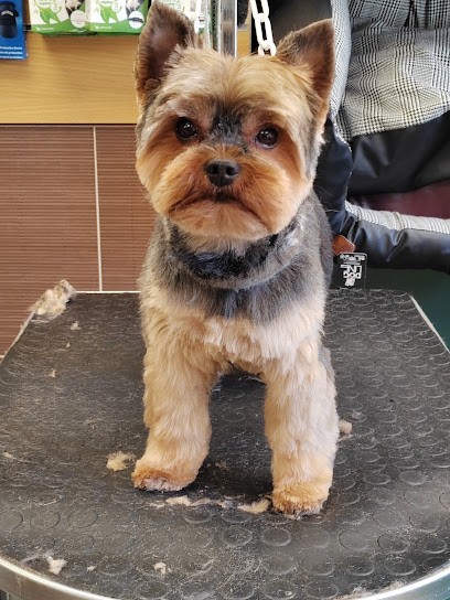La Canicherie, Toiletteur pour Animaux à L'Isle-Adam
